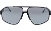 106M 541X Titanium Philipp Plein с/з Солнцезащитные очки