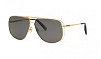 G91M 300P Polarized CHOPARD с/з Солнцезащитные очки